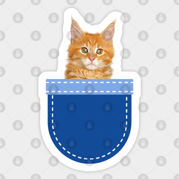 Cat in Pocket (Mainecoon Cat) Sticker by leBoosh-Designs